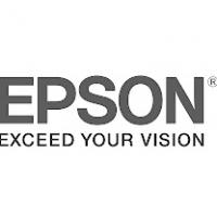 Оригинальный картридж Epson T412011