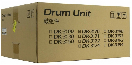 Оригинальный картридж Kyocera DK-3170 (302T993061)