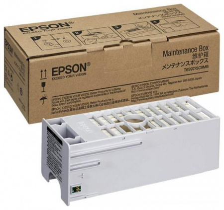 Оригинальный картридж Epson T6997 / C13T699700